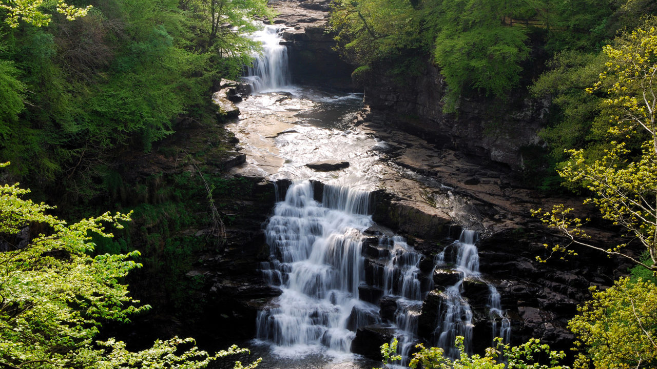 Falls Of Clyde Best Background Full HD1920x1080p, 1280x720p, – HD Wallpapers Backgrounds Desktop, iphone & Android Free Download